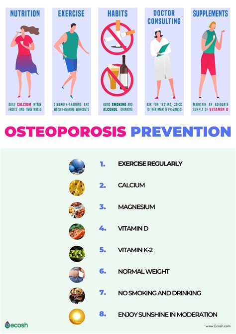 Osteoporosis Guide: Causes, Symptoms and Treatment .